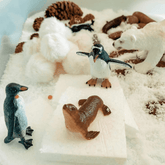 IS Gift // Instant Snow